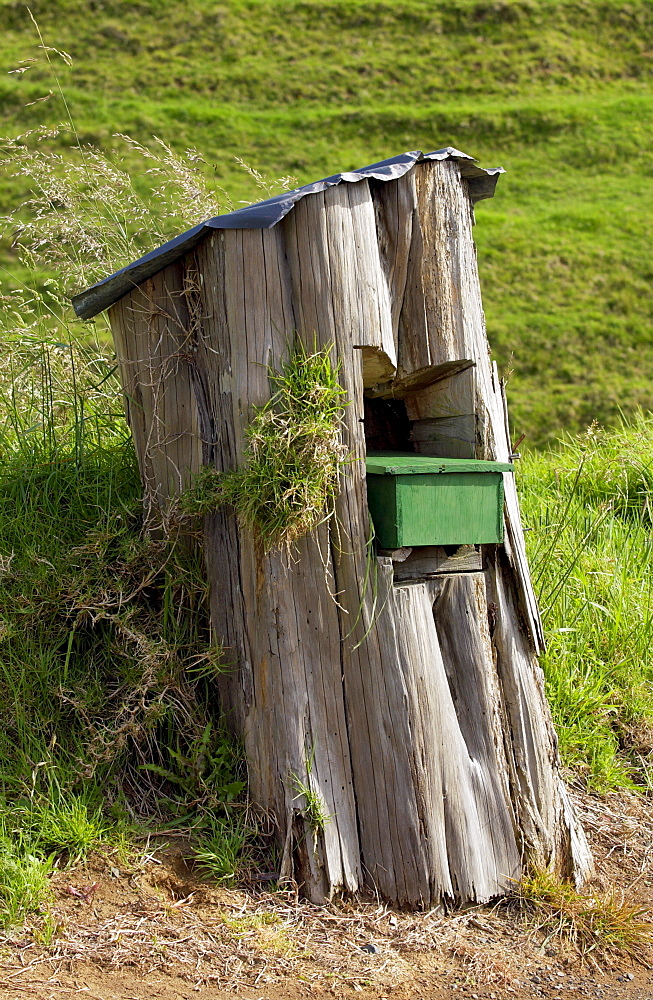 Mailbox set into a tree trunk, North Island, New Zealand