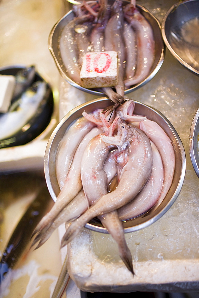 Fresh fish on sale in traditional old Chinese Soho food market in Graham Street, Central Hong Kong, China