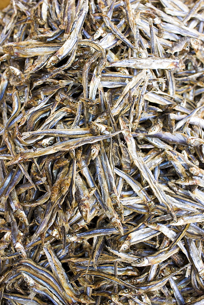 Dried seafood in shop in Wing Lok Street, Sheung Wan, Hong Kong, China