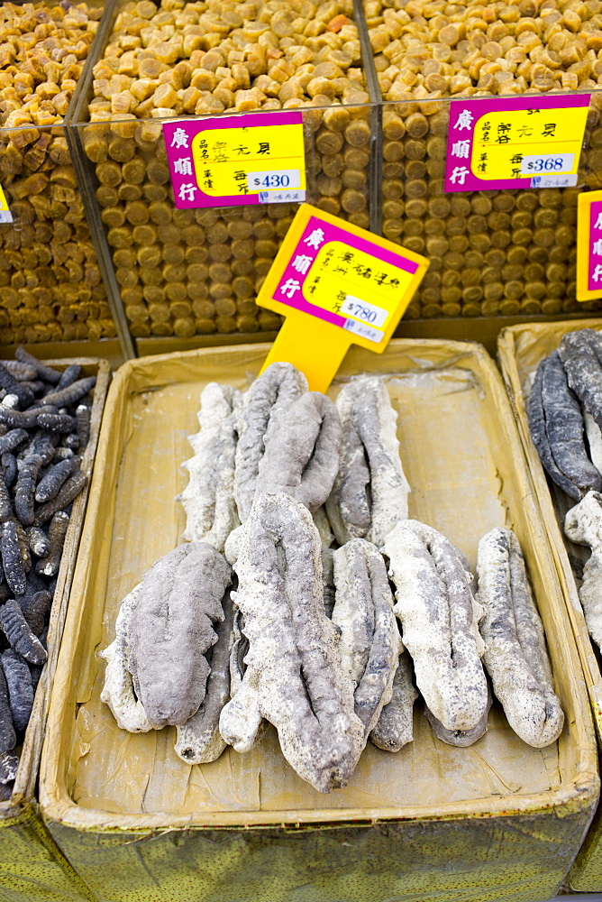 Sea cucumbers and dried scallops on sale in shop in Wing Lok Street, Sheung Wan, Hong Kong, China