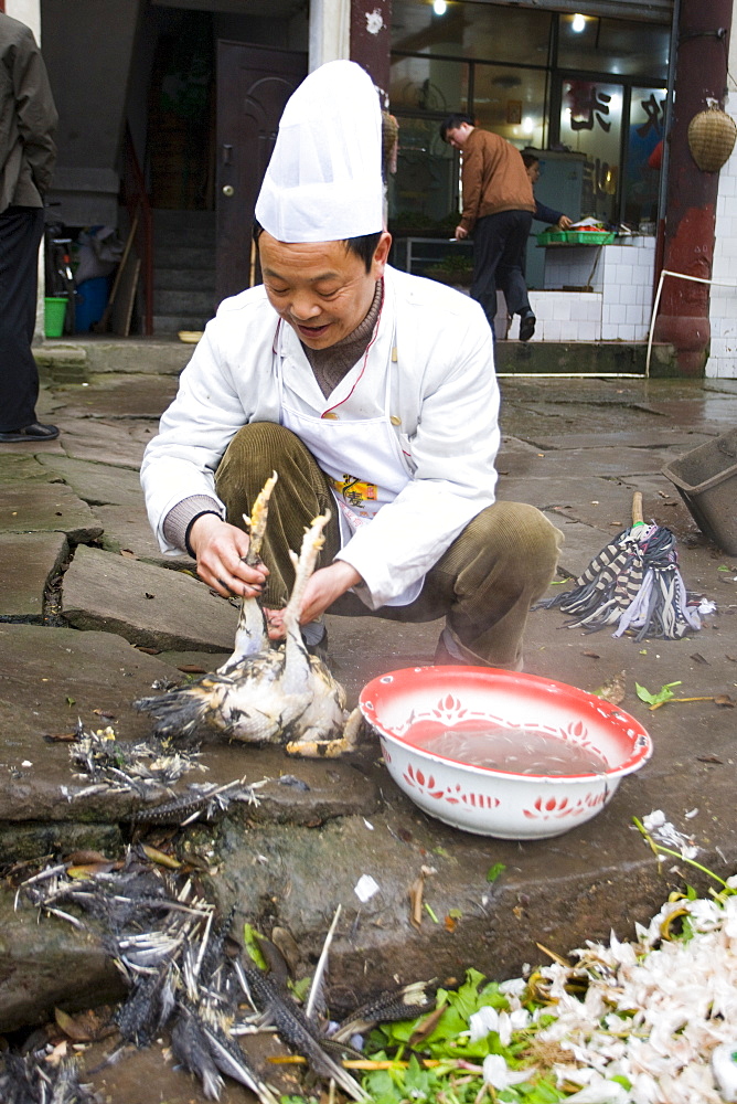 Chinese chef plucks newly slaughtered chicken to cook for restaurant customer at Bao Ding, near Chongqing, China