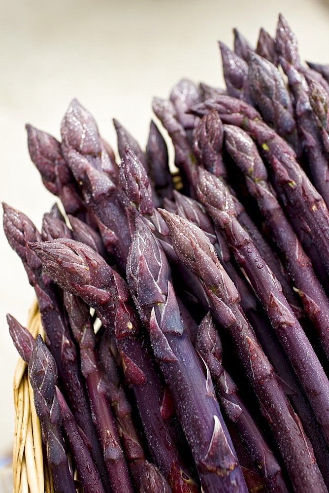 Purple asparagus spears in a basket in the Vale of Evesham, traditional home of asparagus, Worcestershire