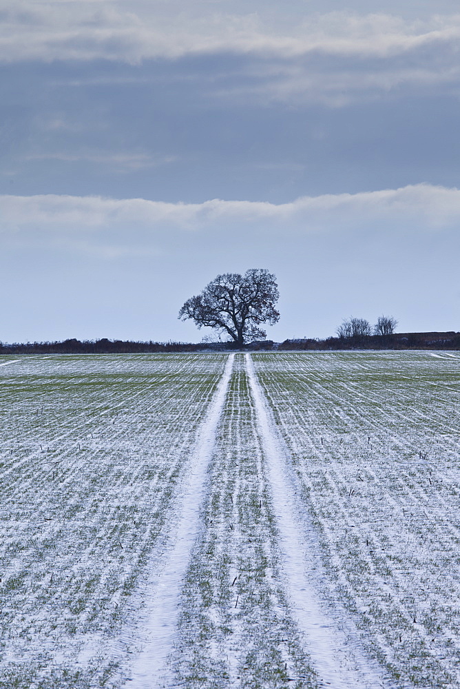 Road to nowhere snow scene in The Cotswolds, UK