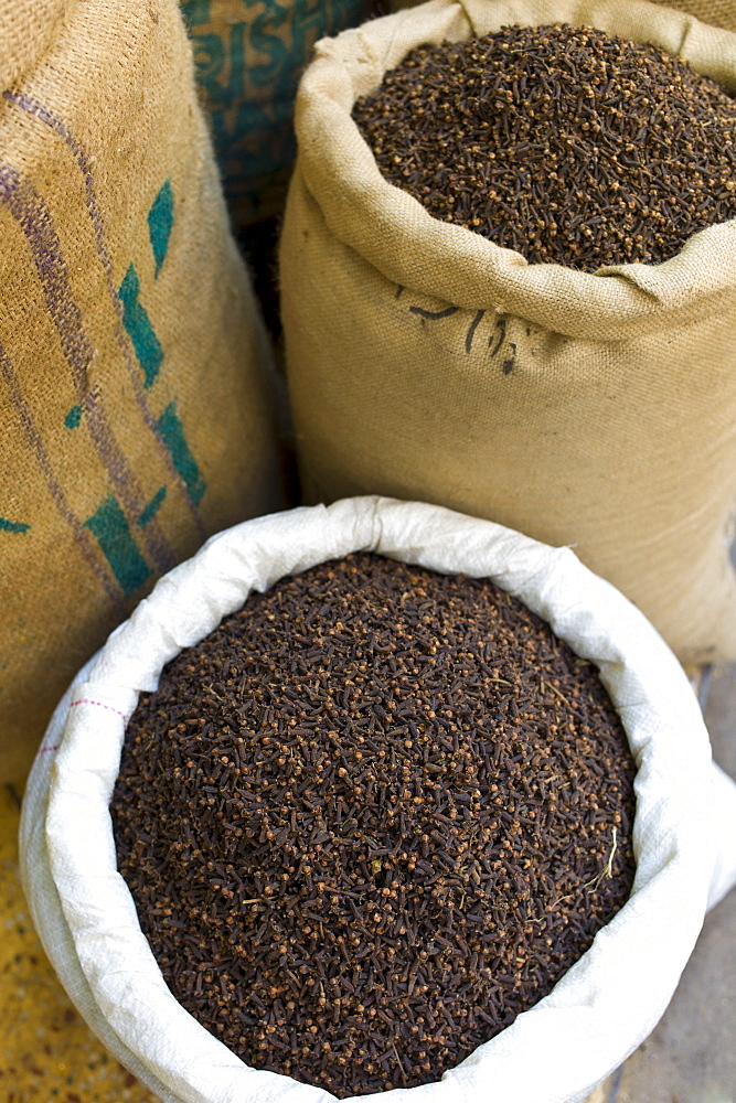 Sacks of dried cloves at Khari Baoli Spice and Dried Foods Market in Old Delhi, India