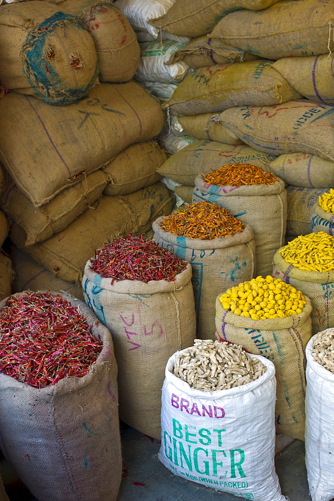 Red chillies, turmeric and ginger root on sale at Khari Baoli spice and dried foods market, Old Delhi, India