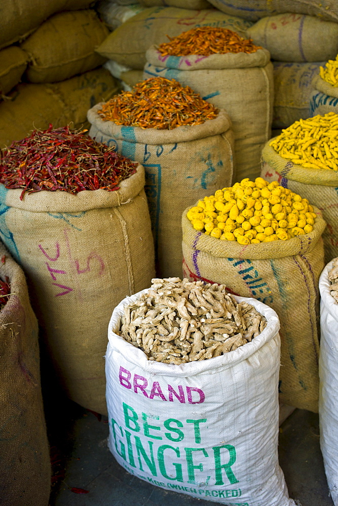 Red chillies, turmeric and ginger root on sale at Khari Baoli spice and dried foods market, Old Delhi, India