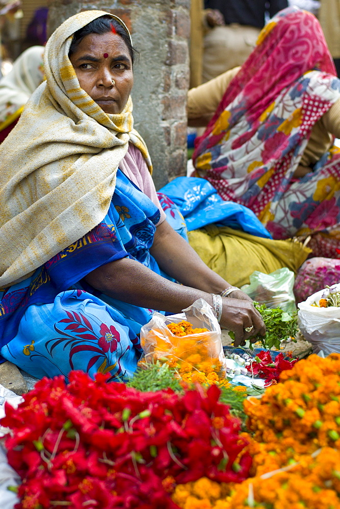 Woman selling flowers and herbs for temple offerings by The Golden Temple during Festival of Shivaratri in holy city of Varanasi, India