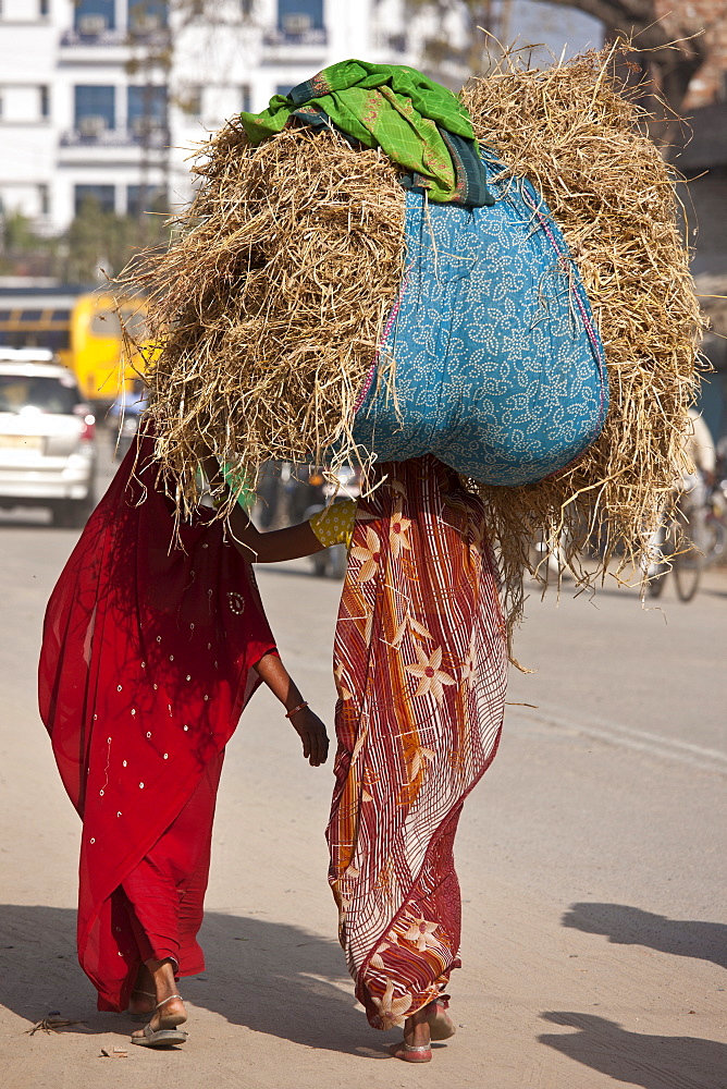 Indian women walking in the street, one carrying straw bale on head, in Nandi near Varanasi, Benares, Northern India