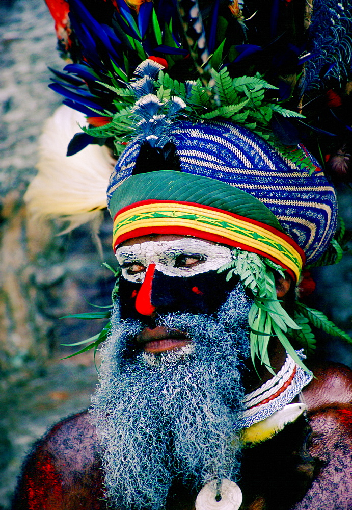 Bearded tribesman wearing war paints and feathered headdress during  a  Sing Sing gathering of tribes at Mount Hagen in Papua New Guinea