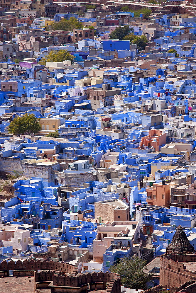 The Brahman Blue City, Brahmpuri area, of Jodhpur in Rajasthan, Northern India