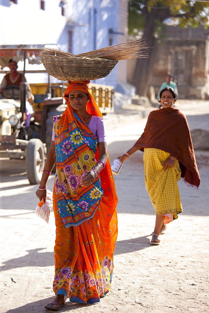 Young Indian woman carrying grain crop in Narlai village in Rajasthan, Northern India