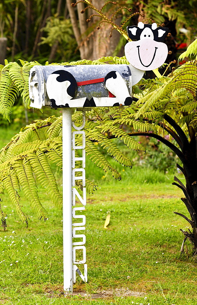 Cow design mailbox, North Island, New Zealand