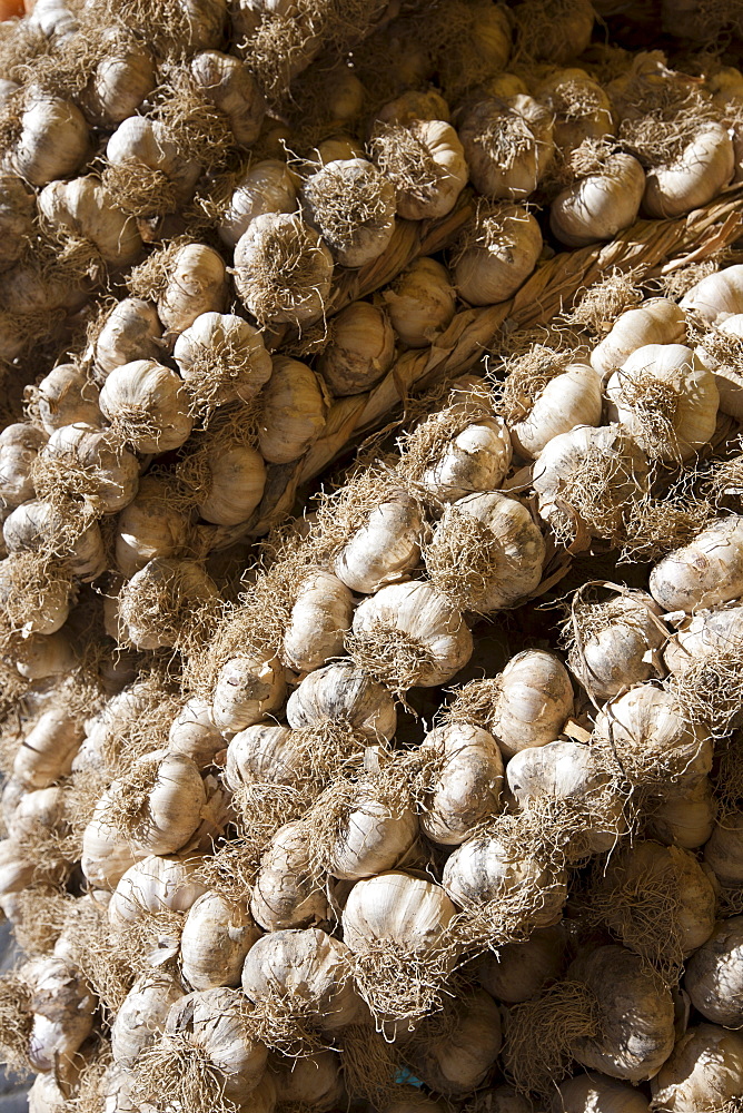 Garlic plaits, Allium sativum, on sale in food market in Pienza, Tuscany, Italy