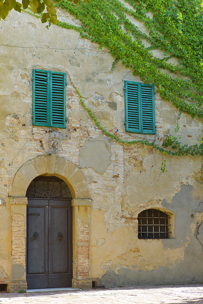 Traditional house with green window shutters and covered in Virginia Creeper, in hill town of Monticcheillo, Val D'Orcia area of Tuscany, Italy