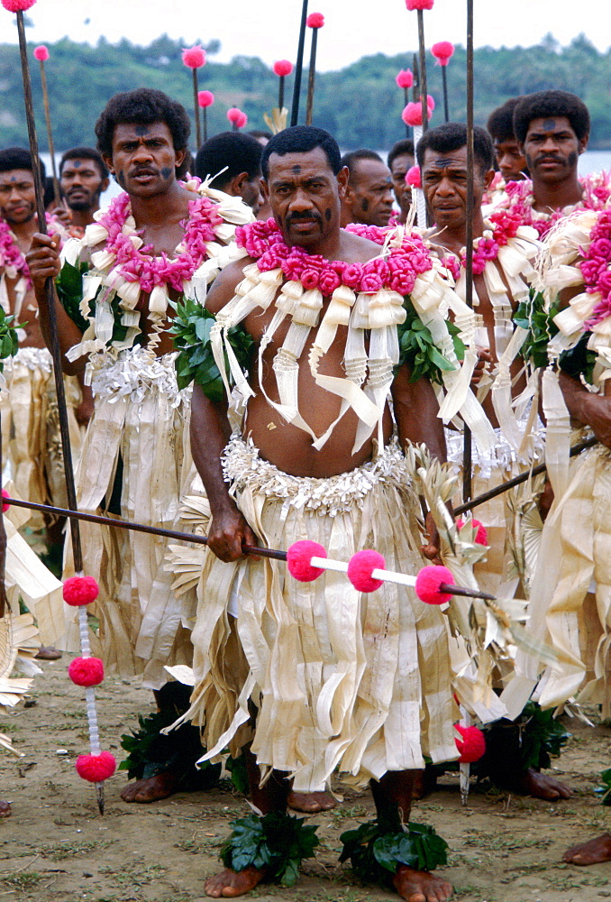 Fijian warriors with spears attending a tribal gathering in Fiji, South Pacific