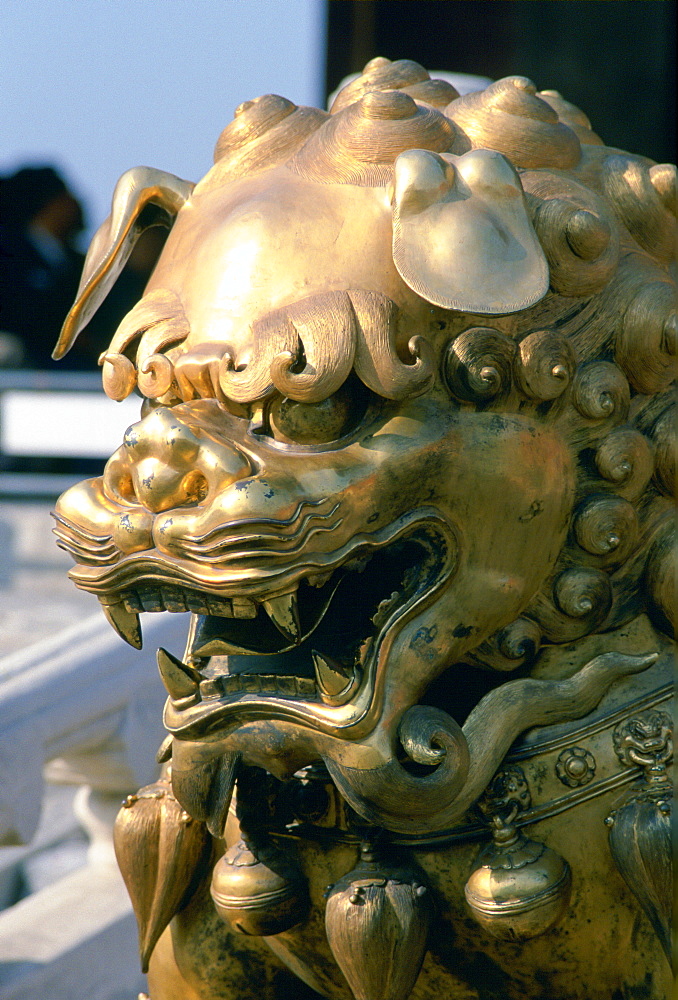 Golden lion statue in the Forbidden City, Beijing, China