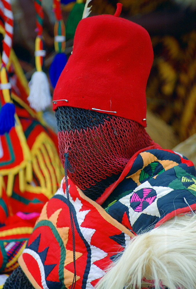 Tribal dancer at a festival in Cameroon, Africa