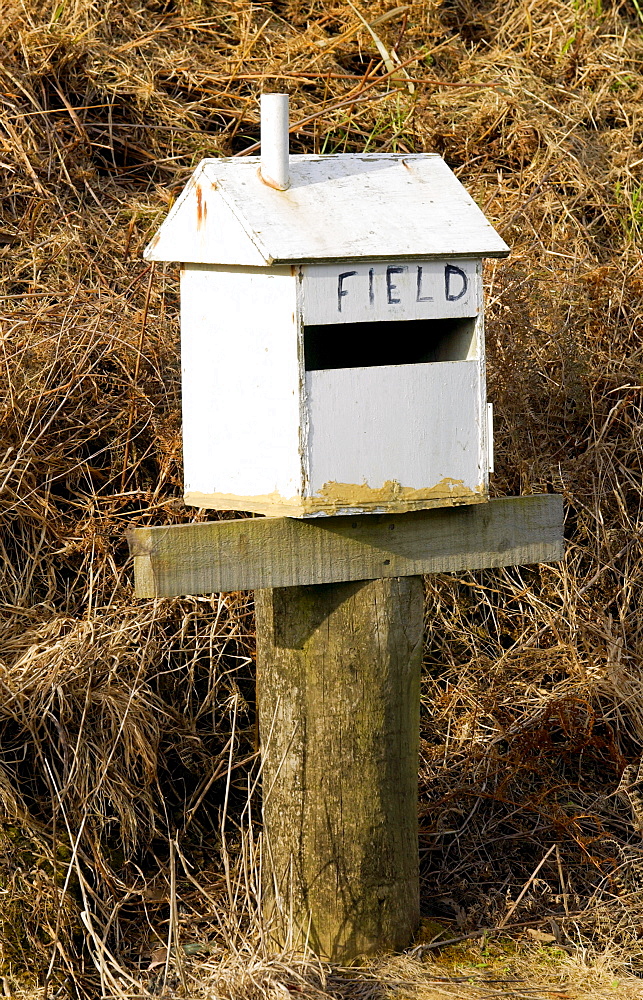 Mailbox, North Island, New Zealand