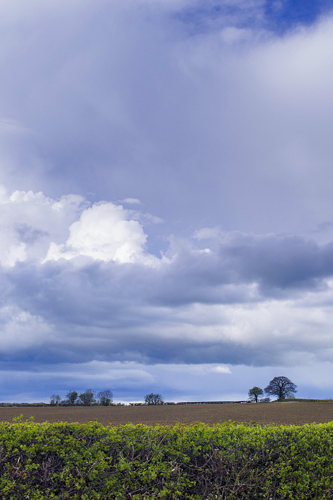 Storm clouds in cloud formation above ploughed field in springtime in Swinbrook in the Cotswolds, Oxfordshire, UK