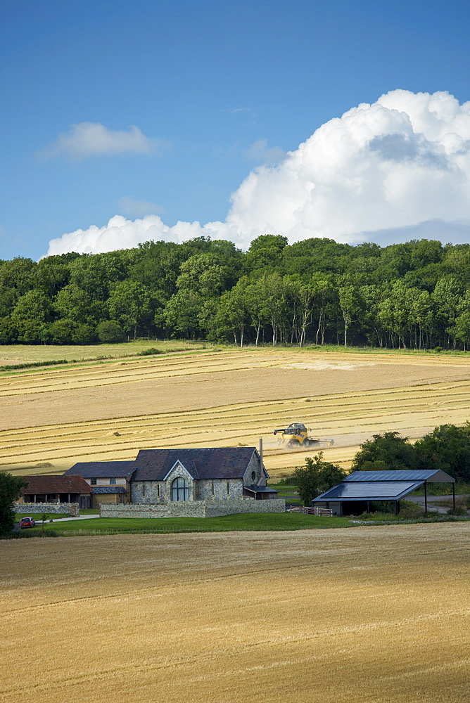 Combine harvester at work in a crop field on Salisbury Plain in Wiltshire, UK