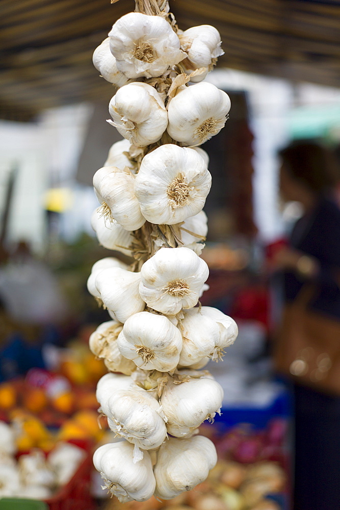 Garlic plait, Allium sativum, on sale in food market in Santander, Cantabria, Northern Spain