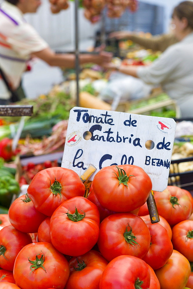 Tomatoes of Cantabria on sale in food market in Santander, Cantabria, Northern Spain