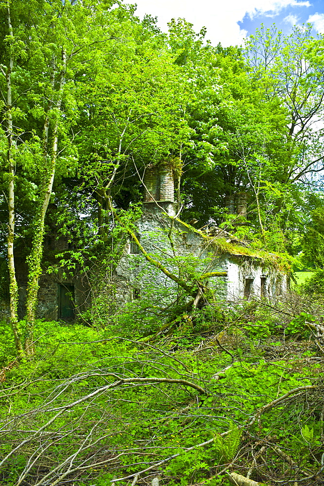 Derelict traditional period old stone cottage overgrown and in need of renovation at Tallow, County Waterford, Ireland