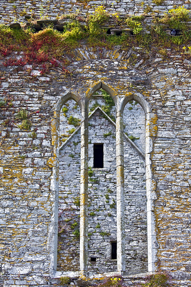 Ruins of a Franciscan friary built 13th and 17th Century, Timoleague, County Cork, Ireland