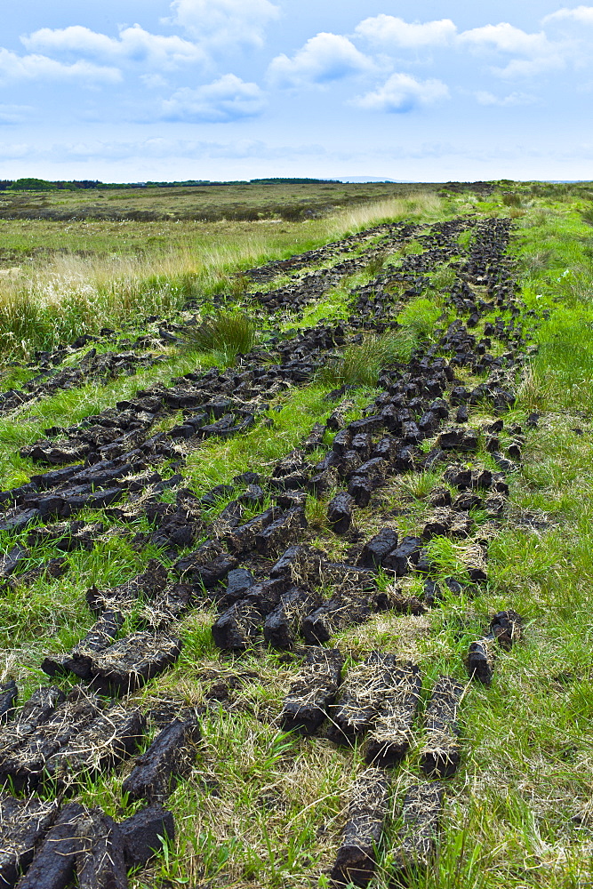 Turf laid out to dry at Mountrivers peat bog, County Clare, West of Ireland