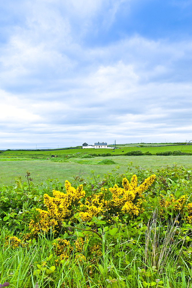 Smallholding farmhouse in County Clare, West of Ireland