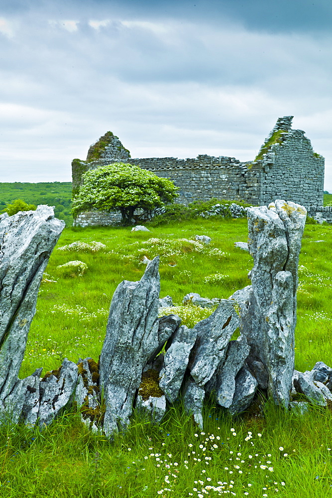 Historic site medieval village ruins and 15th Century Carron Church with graveyard, County Clare, West of Ireland