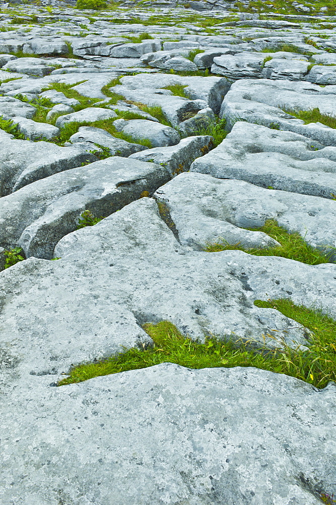 Limestone pavement glaciated karst landscape in The Burren,  County Clare, West of Ireland