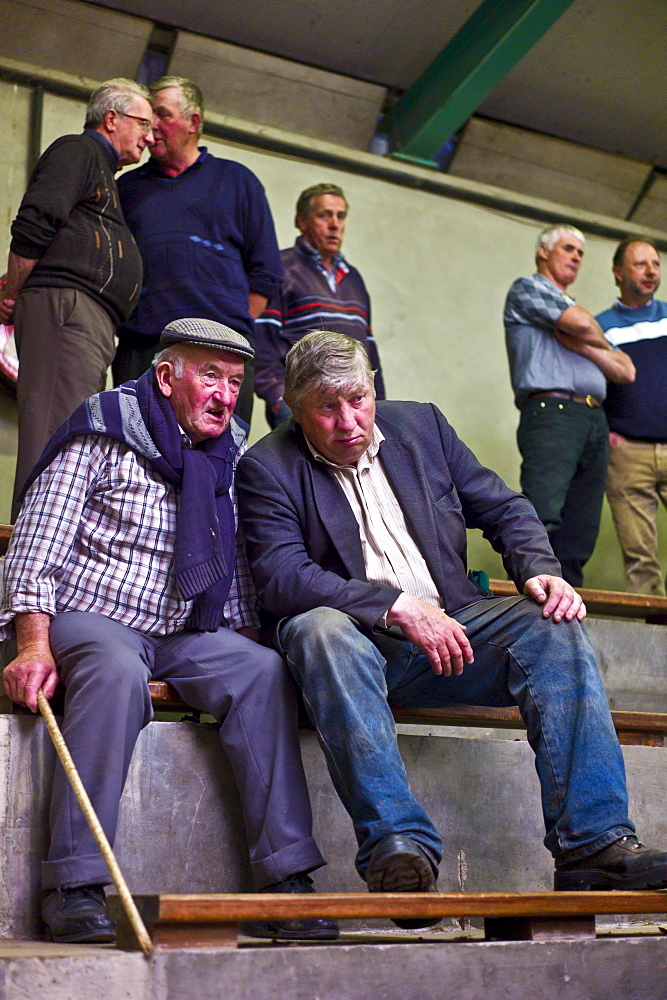 Farmers at cattle auction in Ennis, County Clare, West of Ireland