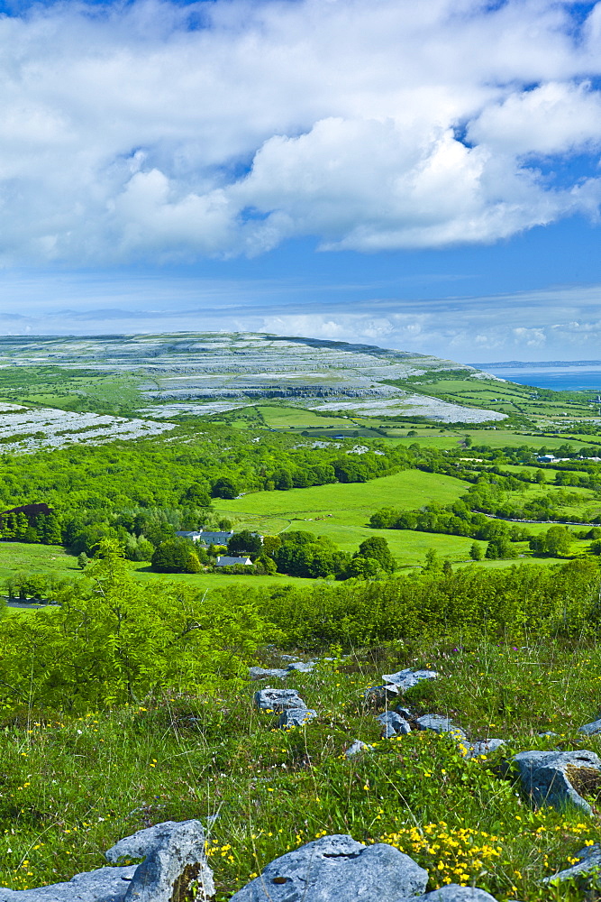 The Burren and Galway Bay from Corkscrew Hill, Cappanawalla left Finvarra Point right, County Clare, West of Ireland