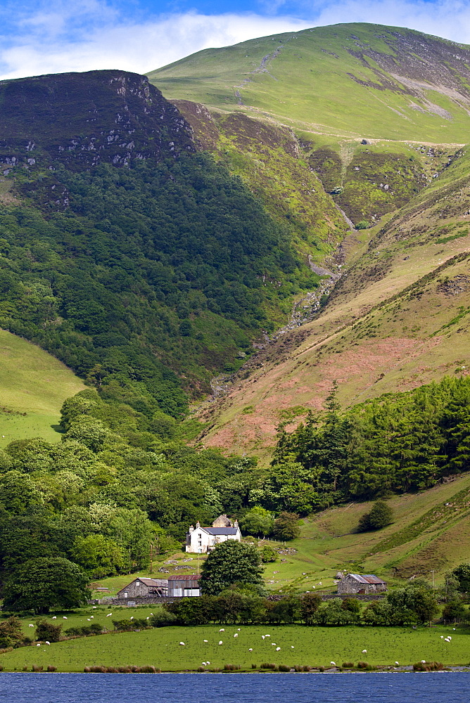 Hill farm on mountain slopes at Tal-Y-LLyn, Snowdonia, Gwynned, Wales