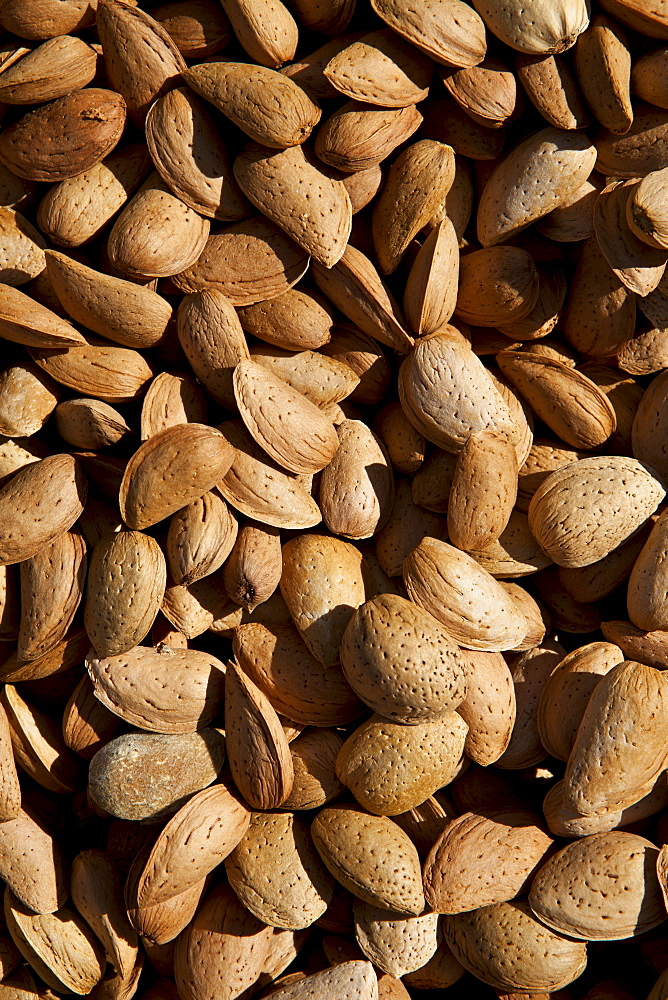 Fresh almonds on sale at food market in Bordeaux region of France