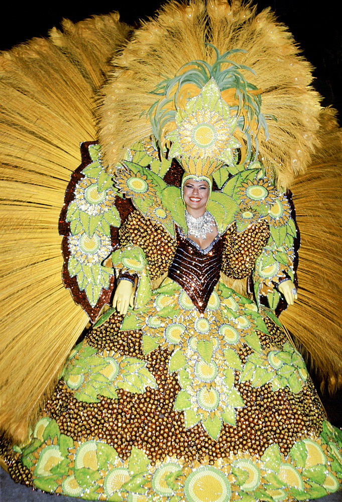 Dancer taking part in traditional Rio Carnival in Rio de Janeiro, Brazil