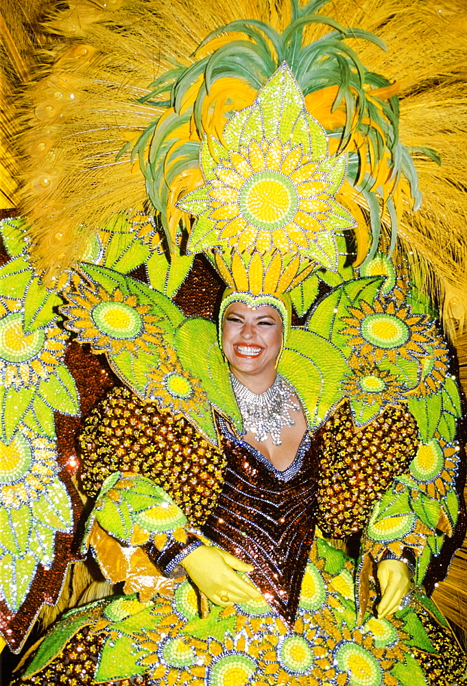 Dancer taking part in a traditional Rio Carnival in Rio de Janeiro, Brazil