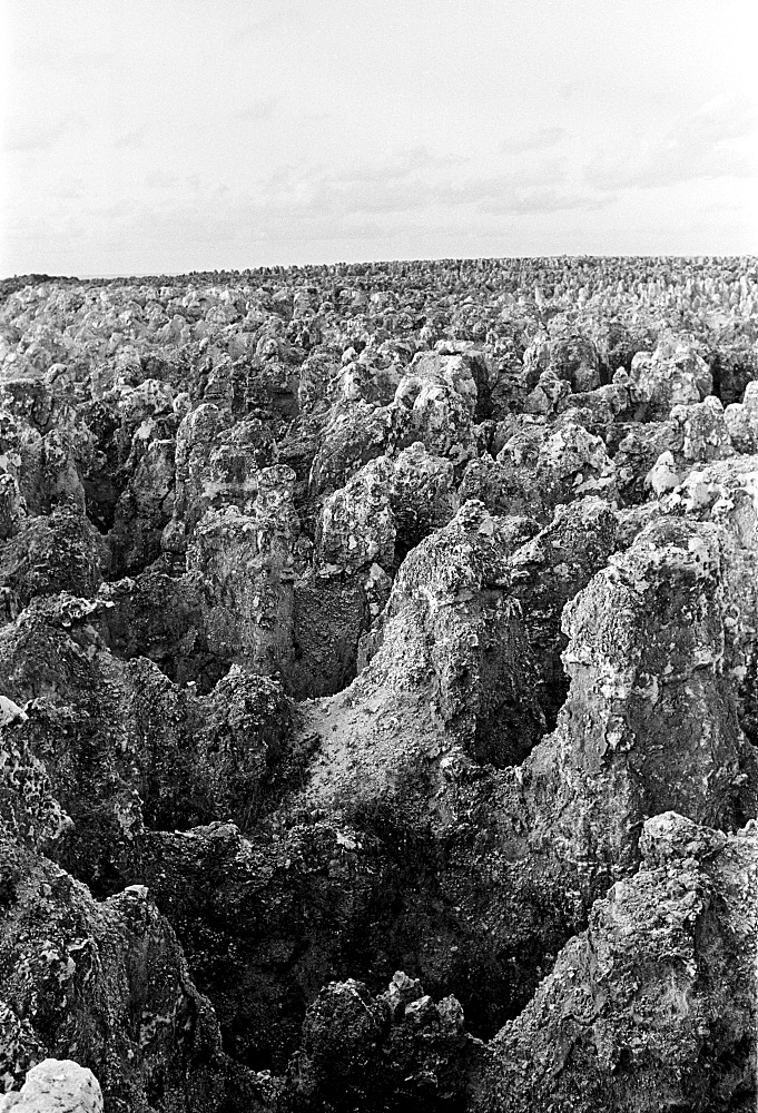 Worked out phosphate (fertiliser) fields of bird guano organic waste on the island of Nauru in the South Pacific