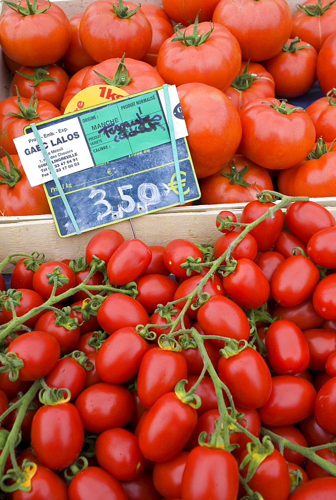 Local produce salad tomatoes and plum tomatoes, at farmers market in Normandy, France