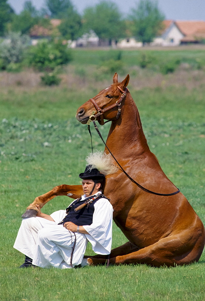 Hungarian Csikos cowboy showing horsemanship skills with horse on The Great Plain of Hungary  at Bugac, Hungary