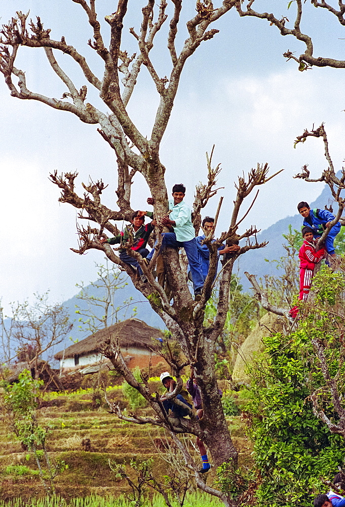 Locals gather for celebration in the foothills of the Himalayas at Pokhara in Nepal