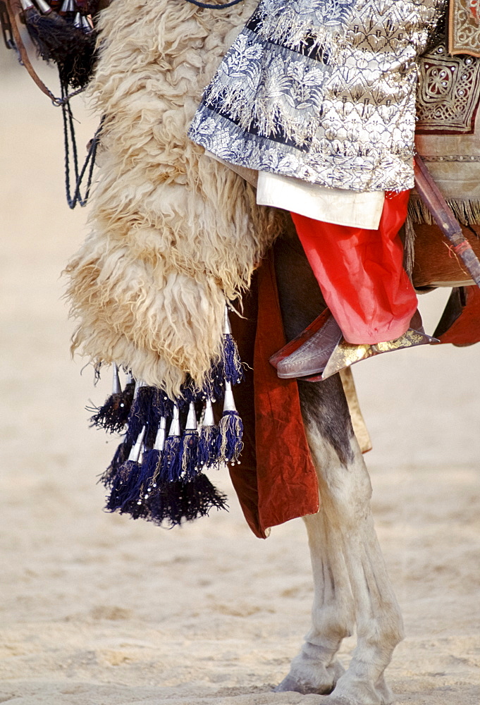 Detail of Nigerian chief on horseback in Maiduguri, Nigeria, West Africa