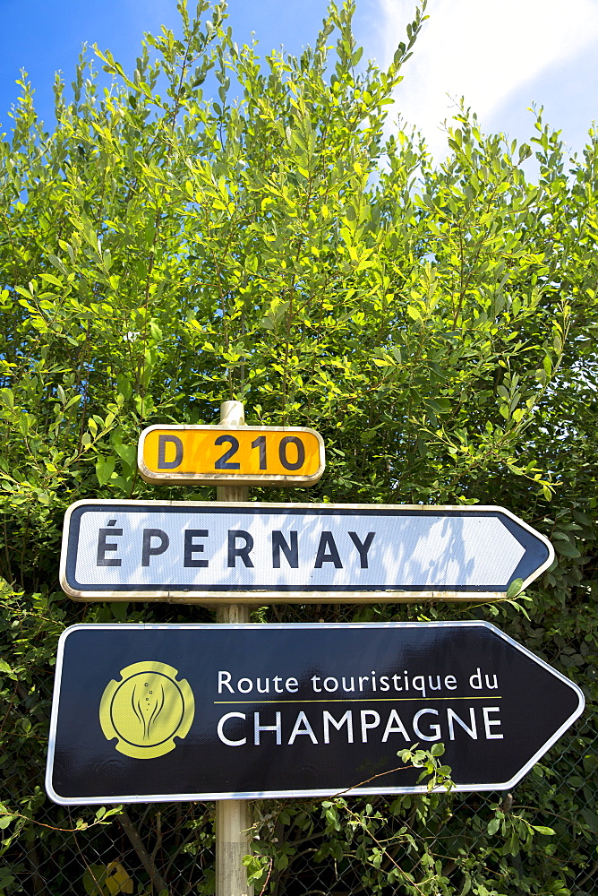 Sign for Epernay, D210 and the Tourist Route of Champagne (Route Touristique du Champagne), Champagne-Ardenne region, France, Europe