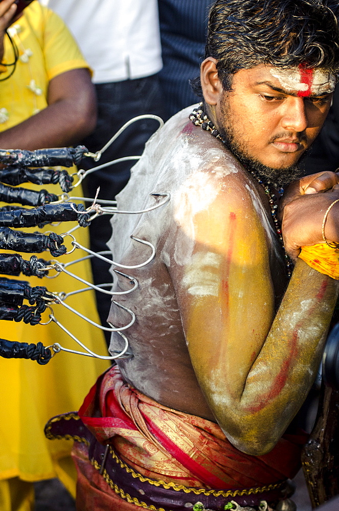 A devotee has his back pierced with hooks, in preparation of Thaipusam festival, Batu Caves, Kuala Lumpur, Malaysia, Southeast Asia, Asia 