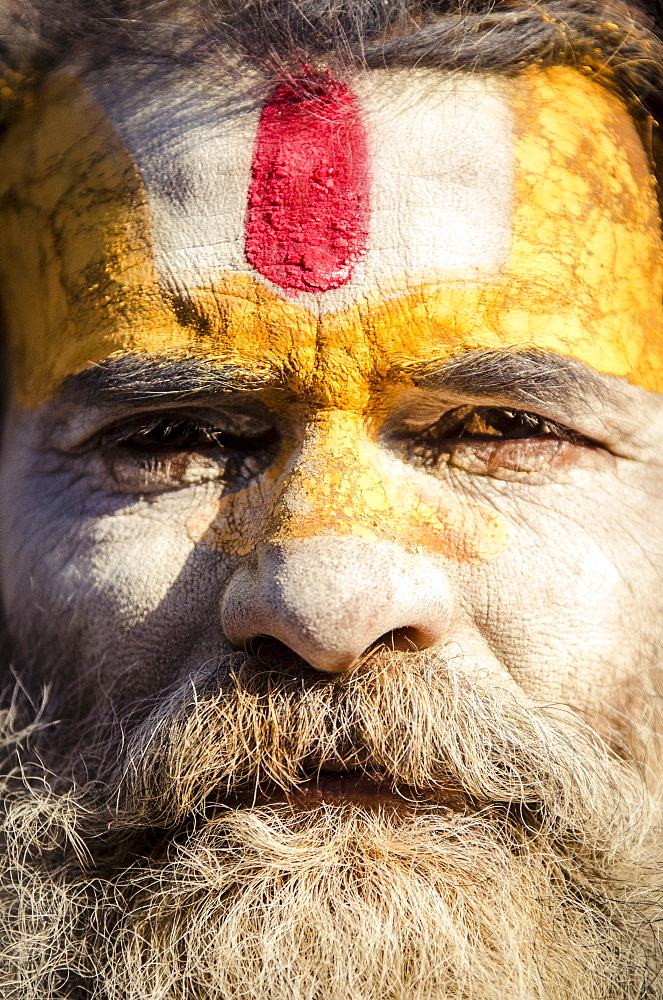 A local sadhu, or baba, at the Shiva Shrines, Pashupatinath, Nepal, Asia