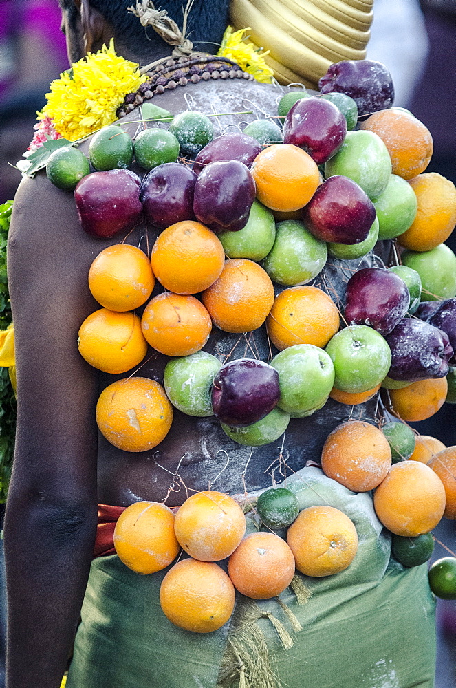 A pierced devotee laden with fruit, during Thaipusam festival, Batu Caves, Kuala Lumpur, Malaysia, Southeast Asia, Asia 