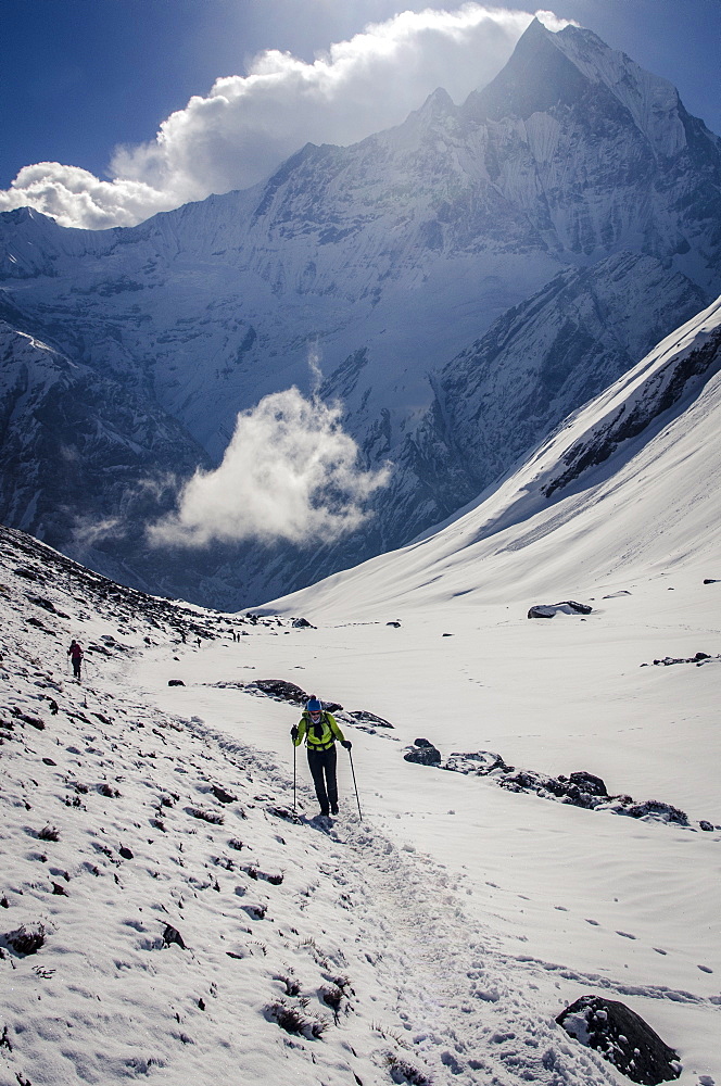 A hiker ascends the Modi Khola Valley to reach Annapurna Base Camp, 4130m, with Machhapuchhare, 6993m, in the background, Annapurna Conservation Area, Nepal, Himalayas, Asia 