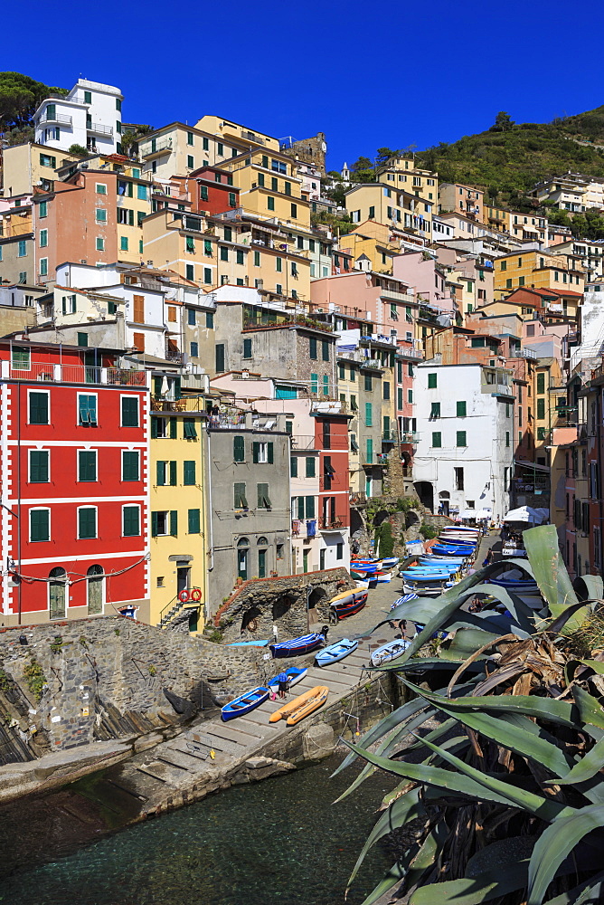 Tiny harbour and medieval houses in steep ravine, Riomaggiore, Cinque Terre, UNESCO World Heritage Site, Ligurian Riviera, Liguria, Italy, Europe