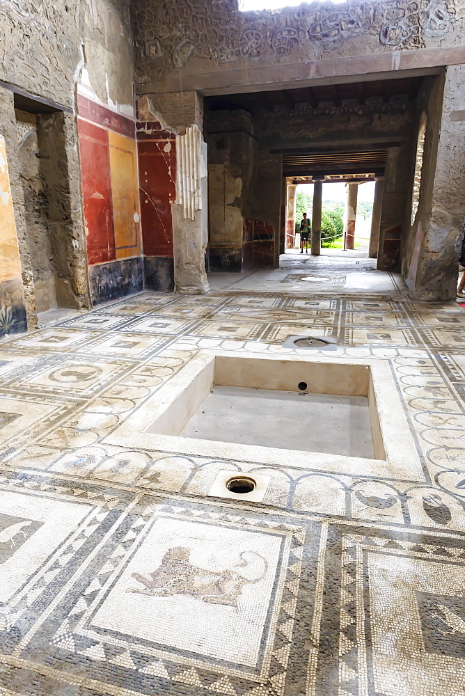 Mosaics, Atrium, House of the Paquius Proculus (House of Cuspius Pansa), Pompeii, UNESCO World Heritage Site, Campania, Italy, Europe